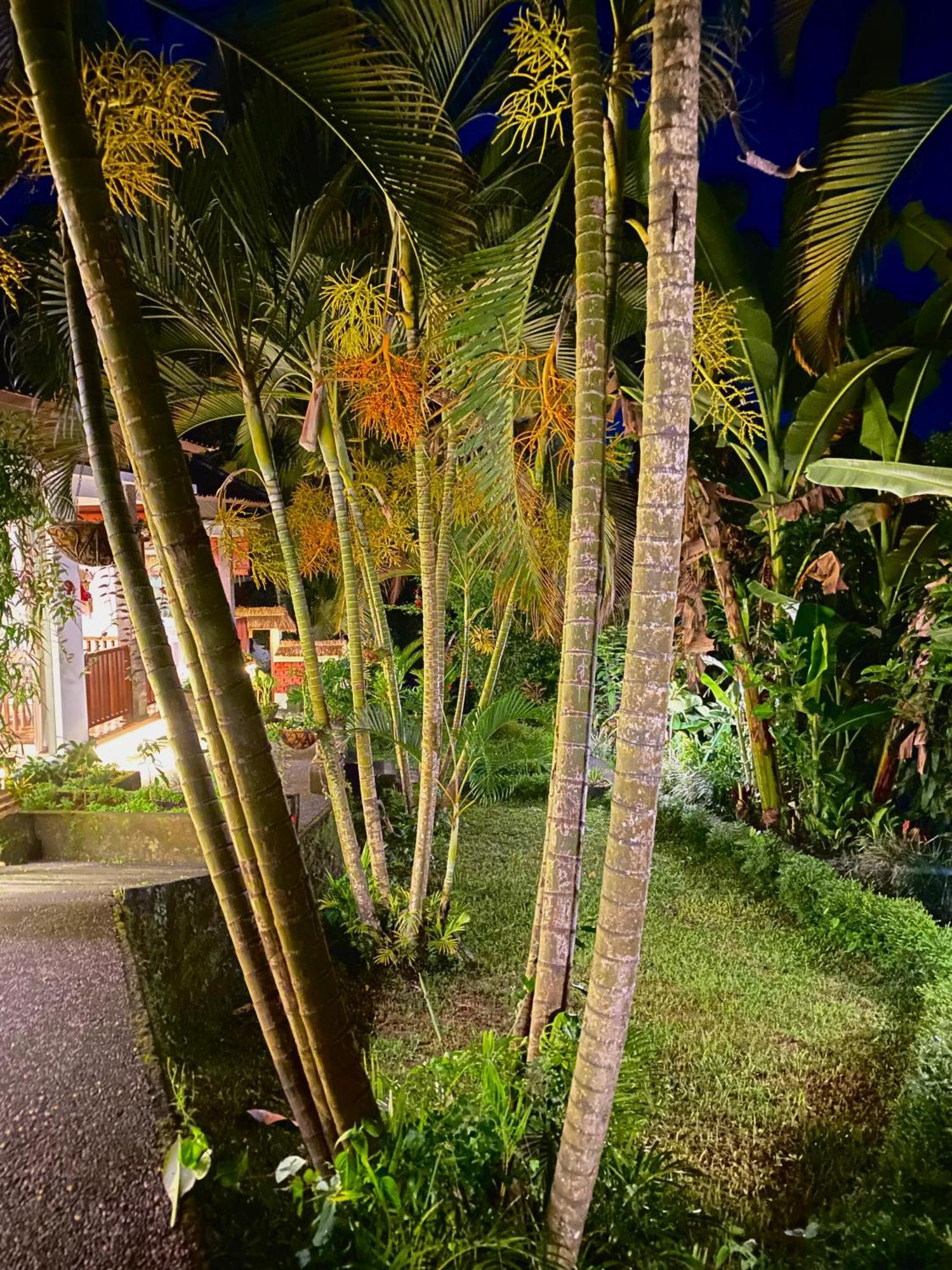 Ardan Maison Ubud Exterior photo